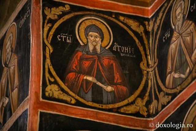 Sfântul Cuvios Antonie cel Mare