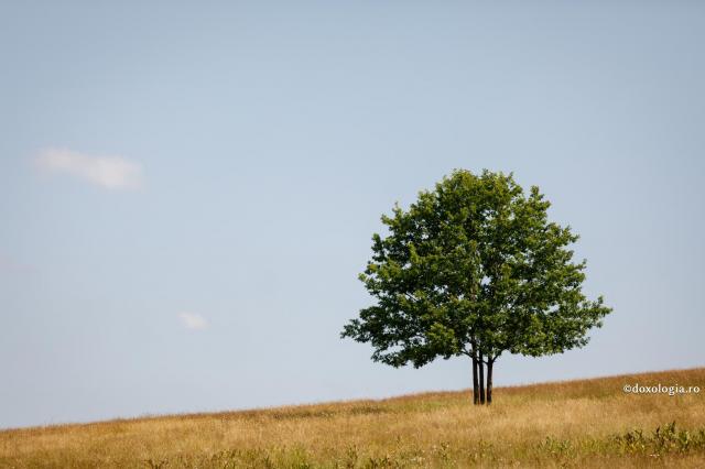 Diavolul îi atacă mai mult pe oameni când îi vede separați de toți ceilalți
