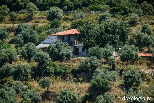 Kathisma „Sfântul Nicolae Hrisokamari” – Xenofont, Athos