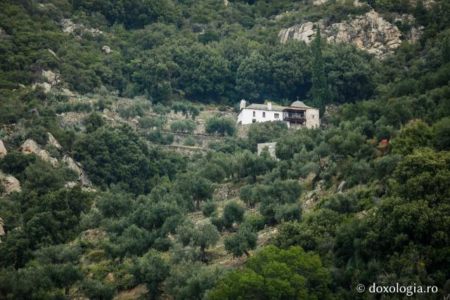 Kathisma „Adormirea Maicii Domnului” a Mănăstirii Grigoriu