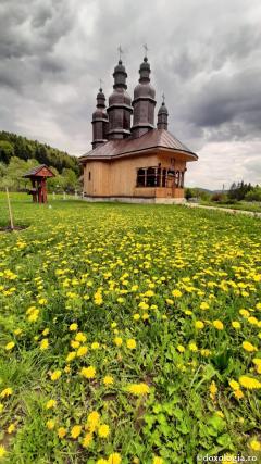(Foto) Primăvara în poiana Raiului de la Pocrov
