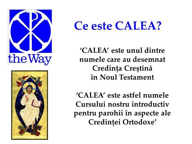 Proiectul Național Catehetic „Calea Mântuirii”, în Arhiepiscopia Romanului și Bacăului
