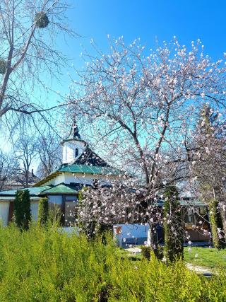 Mănăstirea Bucium din Iași își celebrează hramul