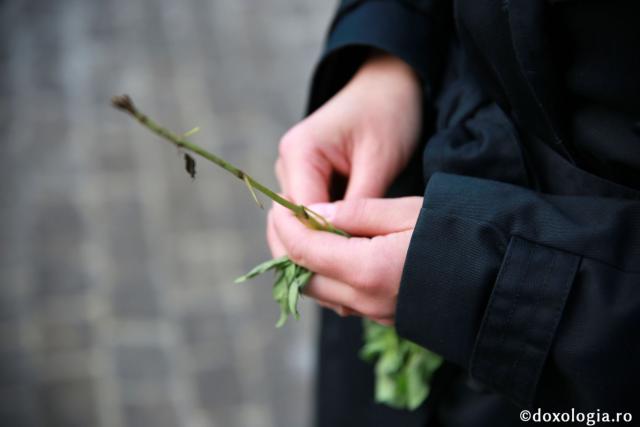 Liturghie arhierească pentru credincioșii ieșeni: „Biserica se află nu în mâna oamenilor, ci în mâna lui Dumnezeu”