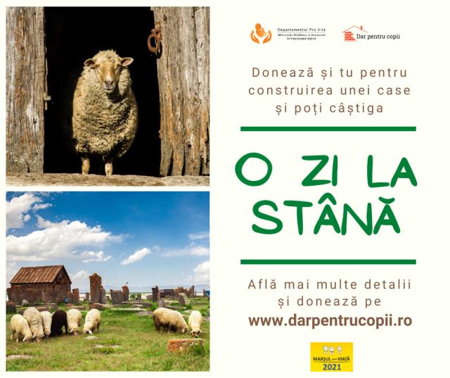 Donezi și poți câștiga „O zi la stână”!