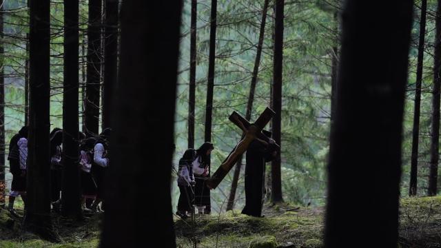 (Video) Grupul vocal „Flori Nemţene” – Iisuse, Fiu veşnic sfânt