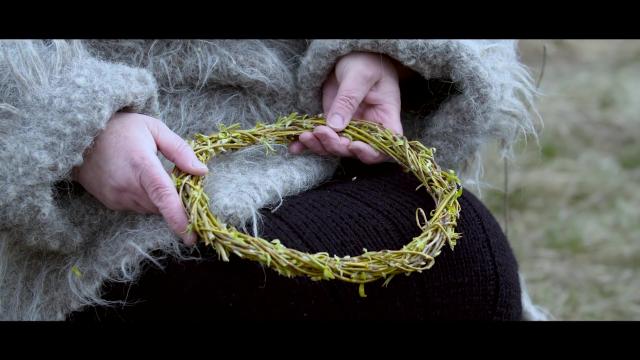 (Video) Paula Hriscu – Sub o salcie pletoasă! (Priceasnă)