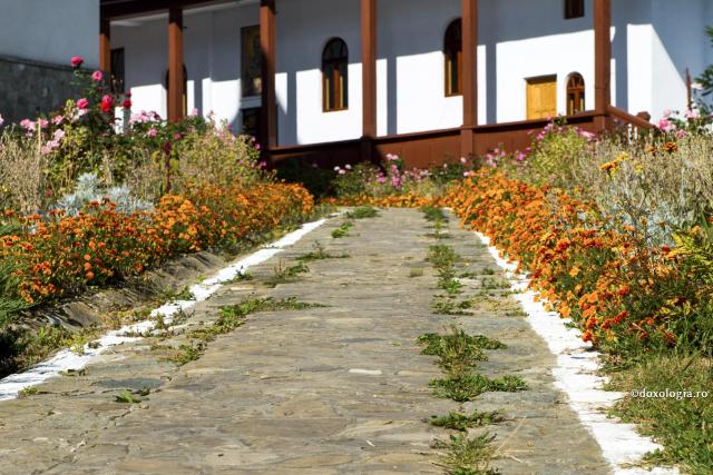 (Video) Părintele Serafim Aldea - Cum să găsim calea de întoarcere către Hristos, către Viață?