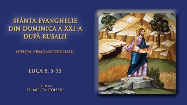 (Video) Sfânta Evanghelie din Duminica a XXI-a după Rusalii (Pilda semănătorului - a Sfinților Părinți de la Sinodul al VII-lea Ecumenic)