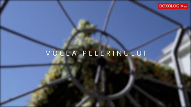 (Video) Mărturie la rândul Sfintei Parascheva: „I-am simțit mânuțele calde”