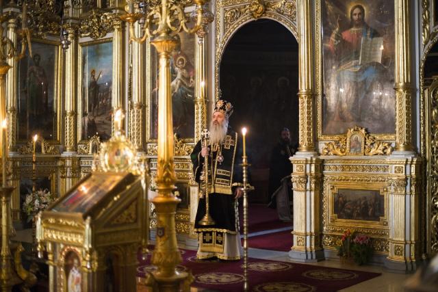 IPS Părinte Mitropolit Teofan, despre vremea postului: „Nu suntem singuri”