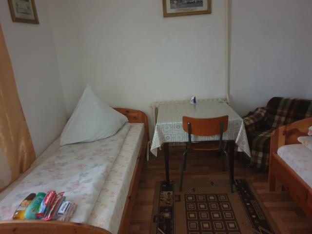 Familie de refugiați din Kiev, găzduită la Mănăstirea Văratic