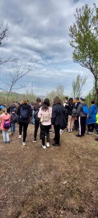 „Sădește un pom, Educă un om!”: 1.200 puieți plantați zilele trecute de Ocolul Silvic Cetățuia