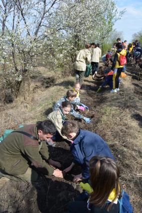 „Sădește un pom, Educă un om!”: 1.200 puieți plantați zilele trecute de Ocolul Silvic Cetățuia