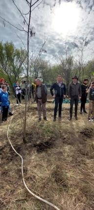 „Sădește un pom, Educă un om!”: 1.200 puieți plantați zilele trecute de Ocolul Silvic Cetățuia