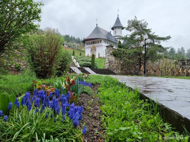Mănăstirea Pângărați