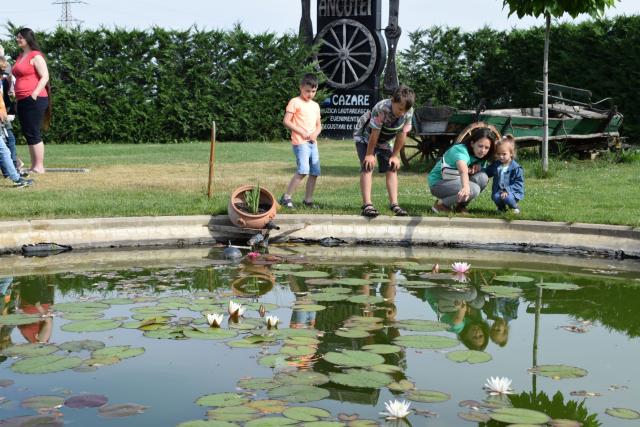 „Călătoria cu cei în călătorie – izvor de tămăduire”