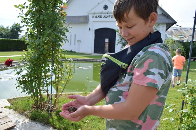 „Călătoria cu cei în călătorie – izvor de tămăduire”