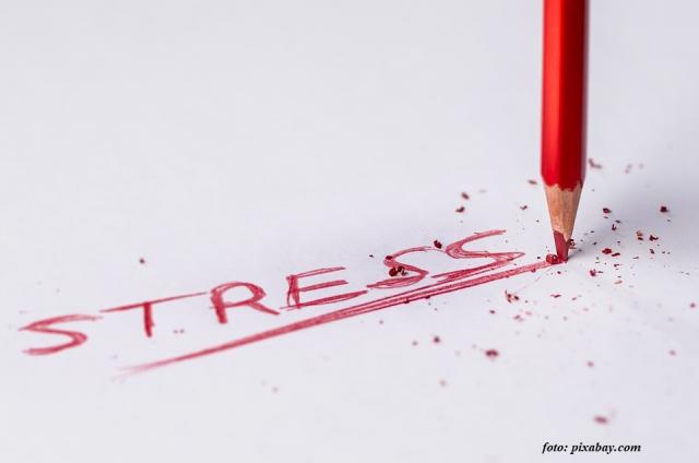 Stresul post-traumatic: interviu cu Mirela Zetu, psiholog clinician și psihoterapeut integrativ în cadrul Spitalului Providența
