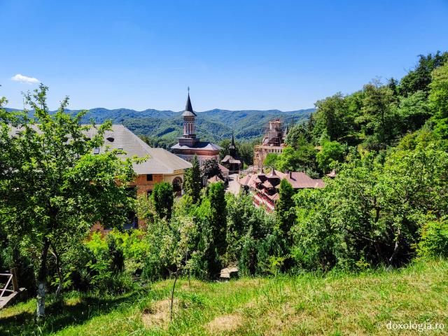 Mănăstirea Rohia