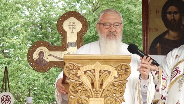 (Video) Mitropolitul Andrei: Preocupările spirituale ale tinerilor –  Predica la Duminica a 12-a după Rusalii