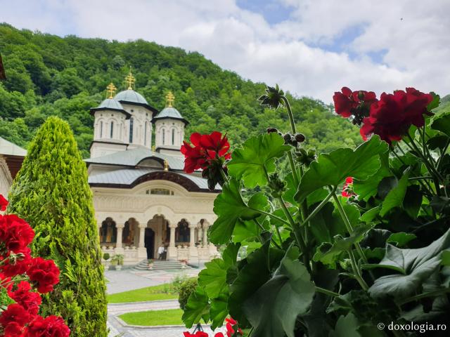 Mănăstirea Lainici