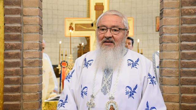 (Video) „Maica Domnului a intrat în templu pentru a se pregăti sa-l primească pe Hristos” – IPS Andrei
