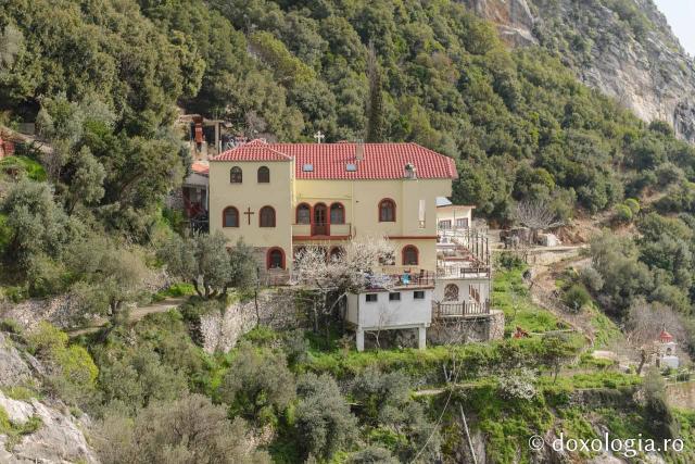 Coliba Sfântului Apostol Toma de la „Sihăstria Sfânta Ana Mică” – Athos