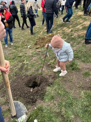 Parohia „Sfântul Nicolae” din Tăutești, un loc plin de viață: S-au plantat peste 700 de copaci