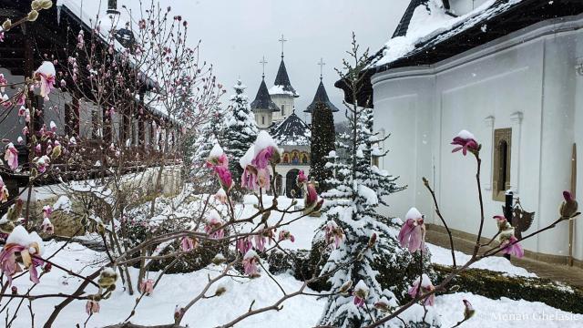 (Foto) Peisaj de iarnă în luna aprilie la Mănăstirea Sihăstria