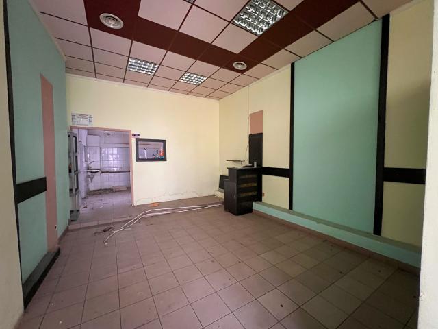 Membrii ASCOR Iași construiesc un nou sediu. Fii și tu parte din această poveste!