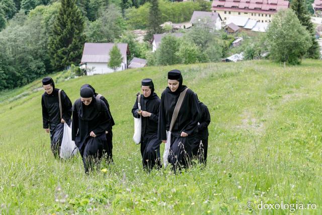 (Fotoreportaj) Leacuri pentru cei din lume – povestea neștiută a laboratorului de la Mănăstirea Paltin