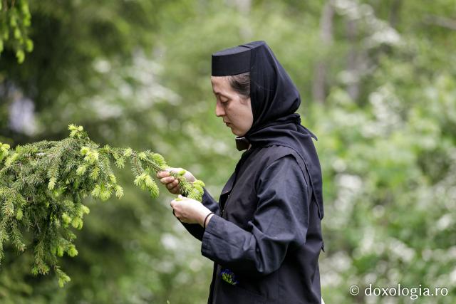 (Fotoreportaj) Leacuri pentru cei din lume – povestea neștiută a laboratorului de la Mănăstirea Paltin