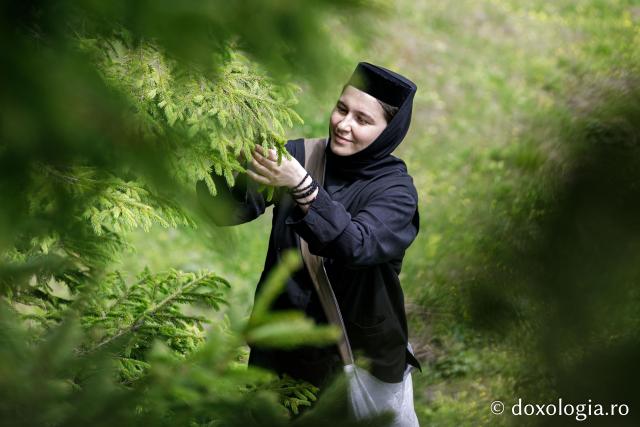 (Fotoreportaj) Leacuri pentru cei din lume – povestea neștiută a laboratorului de la Mănăstirea Paltin