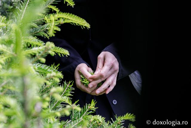 (Fotoreportaj) Leacuri pentru cei din lume – povestea neștiută a laboratorului de la Mănăstirea Paltin