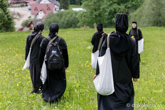 (Fotoreportaj) Leacuri pentru cei din lume – povestea neștiută a laboratorului de la Mănăstirea Paltin