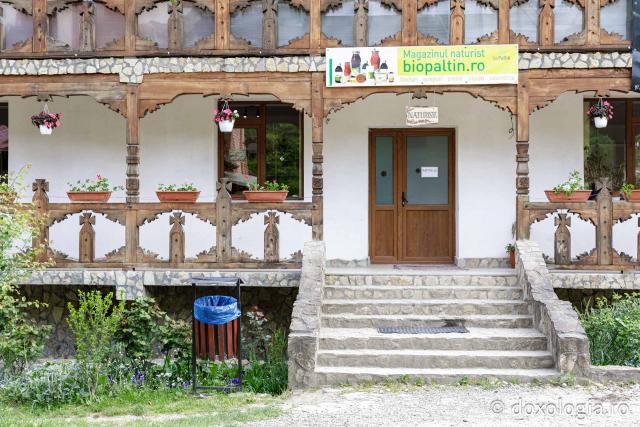 (Fotoreportaj) Leacuri pentru cei din lume – povestea neștiută a laboratorului de la Mănăstirea Paltin