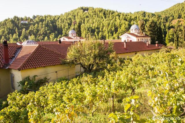 Viața Cuviosului David Bătrânul din Evia