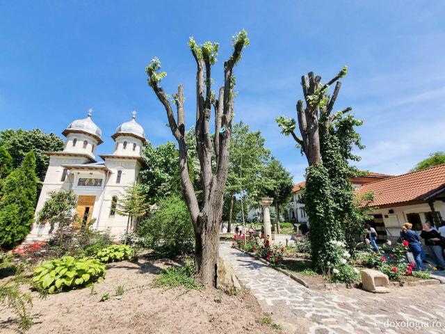(Foto) Pași de  pelerin la Mănăstirea Dervent