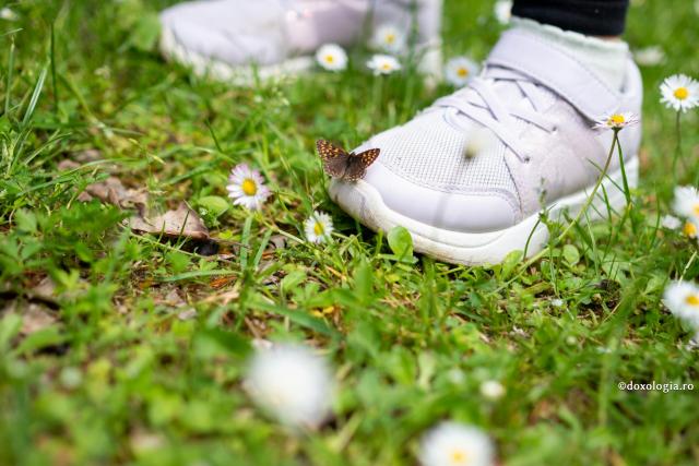 fluture pe pantoful sport al unui copil