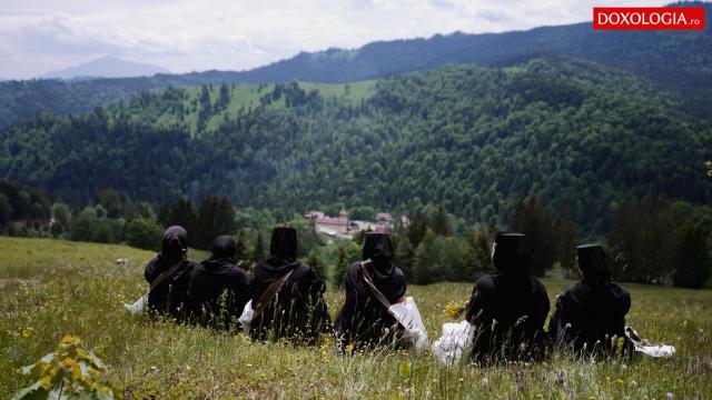 (Video) La Paltin, maicile adună plante medicinale și le trasformă în leacuri pentru lume