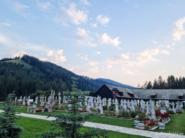 Cimitirul Mănăstirii Putna