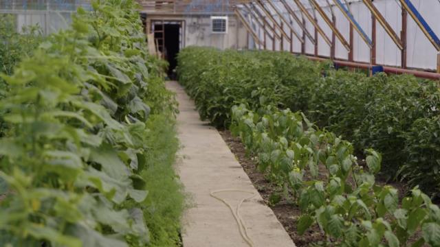 Solariul Mănăstirii Sihăstria