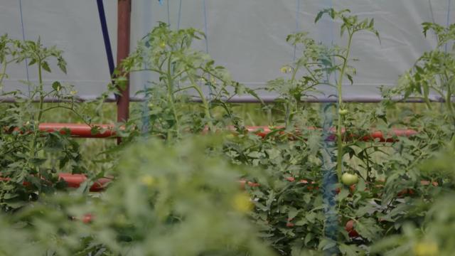 Solariul Mănăstirii Sihăstria