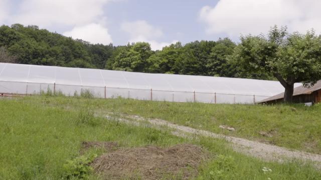 Solariul Mănăstirii Sihăstria
