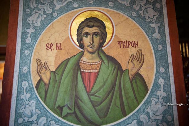 Sfântul Trifon