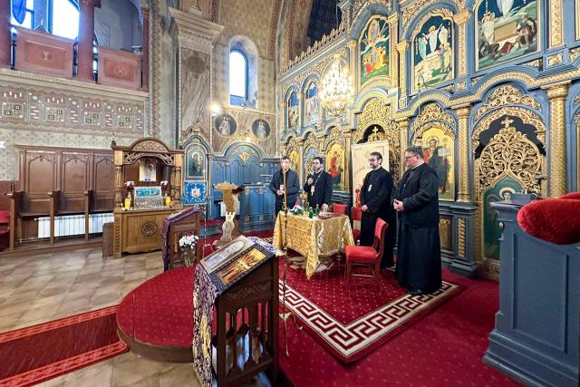 La Catedrala episcopală din Vârșeț a avut loc o conferință Pro Vita intitulată „Construim împreună pentru Viață”