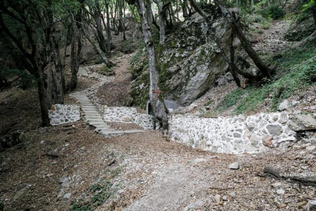 cărare