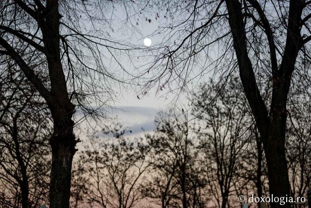 luna in Vorona Mare