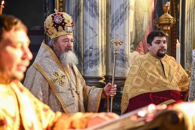 Preasfințitul Părinte Ieronim, Episcopul Daciei Felix